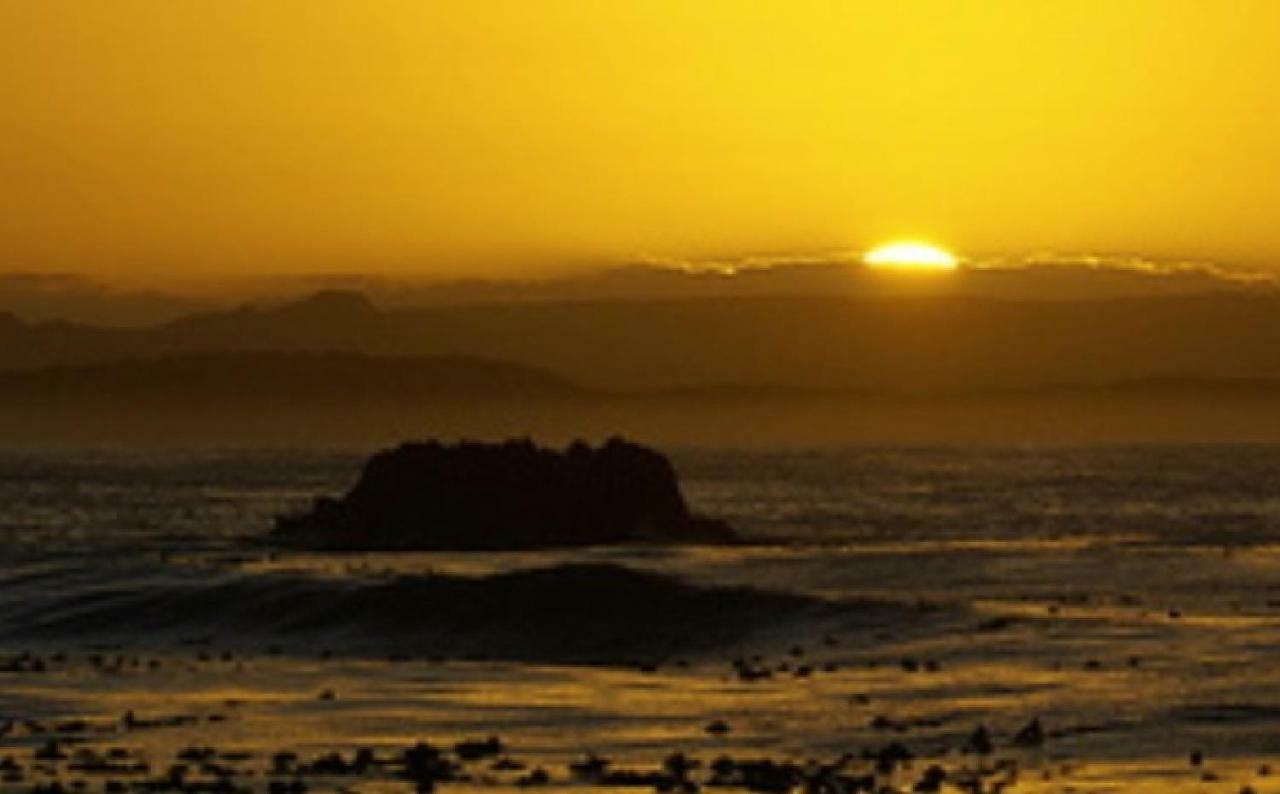 Villa Tassies Gansbaai Esterno foto